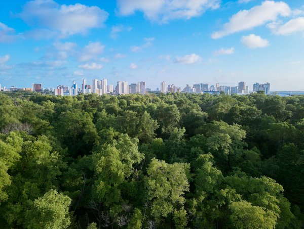 Révélez les fuites d'eau cachées avec adn online en gironde